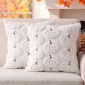 Fall Pillow Covers Pumpkin Fall Decor 16x16 Set of 2 White by Unknown