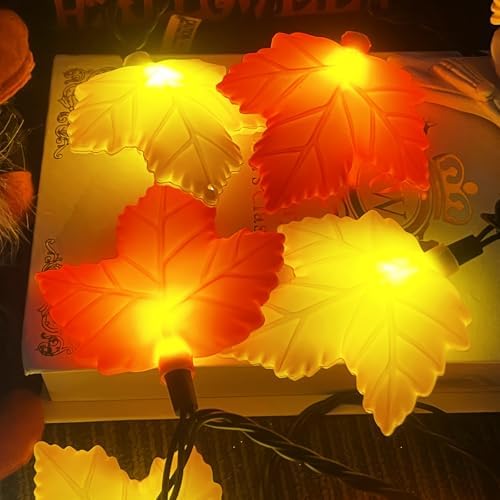 Thanksgiving Decorations Lights Outdoor, 8.5Ft 10 LED Fall Decor Orange/Yellow Maple Leaves String Lights Plug in, Hanging Halloween Maple Leaf Light String for Bedroom Thanksgiving Party Garden Patio - Image 4