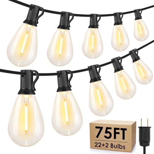 Larkvue 75FT LED Outdoor String Lights, Patio Light, 22+2 S11 Bulbs, Black by Larkvue