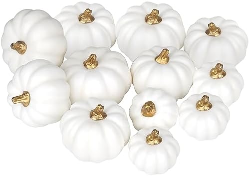Artmag Artificial Pumpkins Bulk 12Pcs Assorted Sizes Harvest Lifelike Pumpkin Fake Foam Pumpkin for Fall Autumn Halloween Home Party Thanksgiving Party Holiday Decor White by Artmag