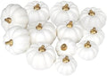 Artmag Artificial Pumpkins Bulk 12Pcs Assorted Sizes Harvest Lifelike Pumpkin Fake Foam Pumpkin for Fall Autumn Halloween Home Party Thanksgiving Party Holiday Decor White by Artmag