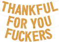 Thanksgiving Decorations, Friendsgiving Decorations, Friendsgiving Banner, Glittery Thanksgiving Banner for Mantel Font Porch, TFYF Thankful for You Fall Party Decorations for Indoor Home (Pre-Assembled) (Orange) by Deneo