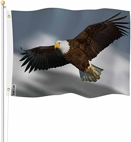 Yekiua Bald Eagle Flag 3X5 Ft Outdoor Bird Flight Against Mountain Premium Strongest Longest Lasting Flag Vivid Color With Brass Grommets by Yekiua