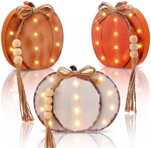 Cinnvoice 3 Pcs Lighted Fall Pumpkin Decor, LED Fall Decorations for Home by QinYee