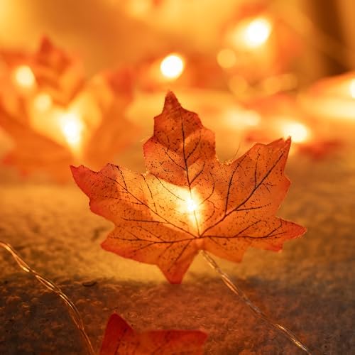 Dazzle Bright 4 Pack Thanksgiving Maple Leaf String Lights, Total 40FT 80 LED Battery Operated Lighted Fall Leaves Garland, Thanksgiving Decorations for Indoor Outdoor Autumn Harvest Decor - Image 3