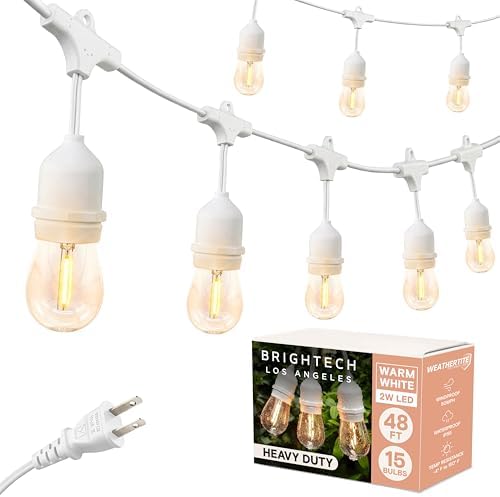 Brightech Ambience Pro Waterproof LED Outdoor String Lights, 48 Ft, Hanging, Dimmable Vintage Edison Bulbs, 15 Bulbs, 2W by Brightech