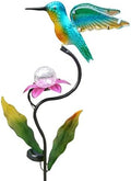 HONGLAND 46 Inch Solar Hummingbird Lights, Solar Garden Decor with Cracked Glass Ball, Hummingbird Decorative Garden Stakes Outdoor Waterproof for Lawn Patio Yard Porch, Gifts for Mom by HONGLAND
