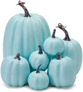 Lizxun 7Pcs Artificial Pumpkins Halloween Decoration, Lifelike Simulation Mixed Harvest Fall Foam Pumpkins for Halloween Thanksgiving Home Party Supplies (Blue White-7Pcs) by Unknown