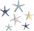 CroBlissful 6 Pcs Summer Beach Wall Decor Beach Starfish Wall Art by CroBlissful