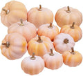 Winlyn 12 Pcs Harvest Orange Artificial Pumpkins Fall Faux Pumpkins Light Orange Decorative Pumpkins Fake Foam Pumpkins for Thanksgiving Party Halloween Autumn Wedding Centerpiece Table Wreath Décor by Winlyn
