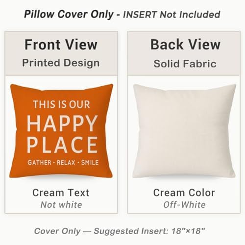 Outdoor Farmhouse Decorative Throw Pillow Covers 20x20 Inch Set of 2 Welcome to Our Porch This is Our Happy Place Orange Cushion Case Spring Fall Decoration for Patio Furniture Couch Decor - Image 4