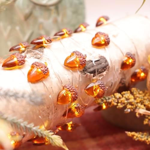 MIYA LIFE Fall String Lights (Acorn Fairy) - Image 5