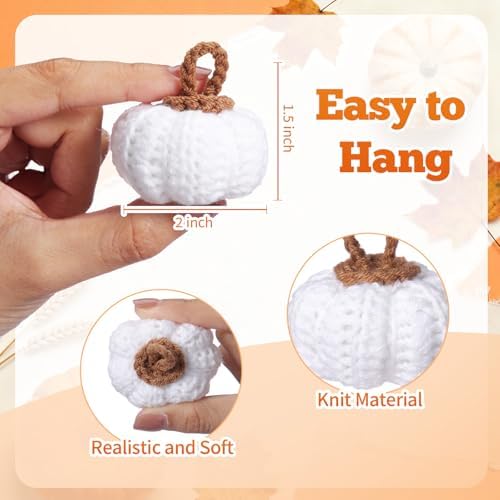 Remagr 12 Pcs Knit Pumpkins Fall Decor 2 Inch Thanksgiving, White - Image 2