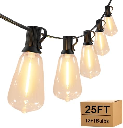 Outdoor String Lights, 25FT with 12 LED ST38 Bulbs, Waterproof,Cord Powered by Unknown