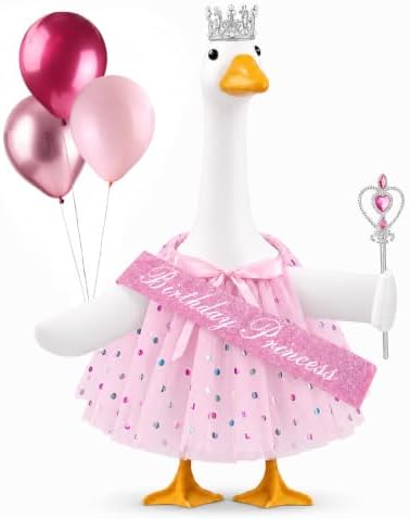 5 Pcs Birthday Princess Porch Goose Outfit with Balloon for Outdoor Decor by Unknown