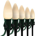 Wintergreen Lighting 50’ OptiCore LED Warm White Smooth/Opaque Christmas Pathway Lights, C9 Outdoor Christmas White Lights, 4.5” Stakes, Green Wire Plug String Lights by WintergreenLighting