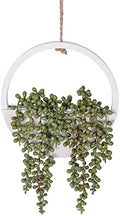 Floweroyal Artificial Succulents Hanging Plants 12.2'' Fake String of Pearls in Pot with 8.3'' Lanyard for Indoor Outdoor Wall Decor. by FloweroyalCrafts