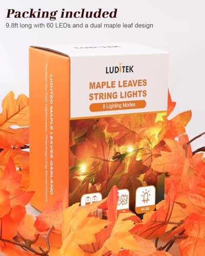 Luditek 9.8FT 60LED Fall Garland with Lights, 8 Lighting Modes, Battery Powered Maple Leaves String Lights, Fall Decorations for Autumn, Thanksgiving, Halloween, Home Room, Indoor Outdoor - Image 7