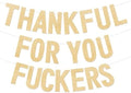 Thanksgiving Decorations, Friendsgiving Decorations, Friendsgiving Banner, Glittery Thanksgiving Banner for Mantel Font Porch, TFYF Thankful for You Fall Party Decorations for Indoor Home (Pre-Assembled) (Champagne Gold) by Deneo