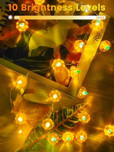 2 Pack 30LED Pumpkin Fall Decorations String Lights Battery Operated Remote - Image 4