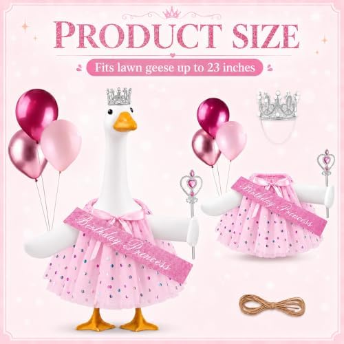 5 Pcs Birthday Princess Porch Goose Outfit with Balloon for Outdoor Decor - Image 2