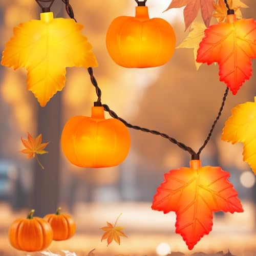 Fall String Lights - 8.5Ft LED Maple Leaf Pumpkin Lights String, 3D Leaves Pumpkin String Lights Plug in for Indoor Outdoor Thanksgiving Decorations & Fall Decorations for Home Porch Mantel, 0.07W by SOTOPOO