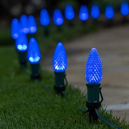 Wintergreen Lighting OptiCore LED C9 Blue Christmas Pathway Lights, Heavy Duty Bulbs for Driveway, Walkway Marker, 5" Commercial PathPRO Stakes, 18 Gauge Green Wire, 100 Lights, 100 ft - Image 2