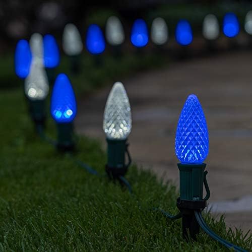 Wintergreen Lighting 50' OptiCore LED C9 Blue and White Pathway Christmas Lights, Heavy Duty Bulbs for Driveway, Walkway Marker, 5" Commercial PathPRO Stakes, 18 Gauge Green Wire - Image 2