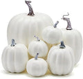 Lucakuins 7Pcs Artificial Pumpkins Fall Decoration Assorted Faux Pumpkin Cute Foam Pumpkins for Home Outside Halloween Decorating (White2, One Size) by Lucakuins