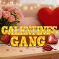 Honoson 14 Pcs Galentines Day Party Decorations Galentines Gang Lights up Sign Girls Ladies Galentine's Day Party Decorations Fireplace Table Decor by Honoson