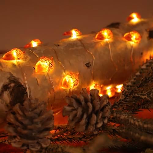 MIYA LIFE Fall String Lights (Acorn Fairy) - Image 4