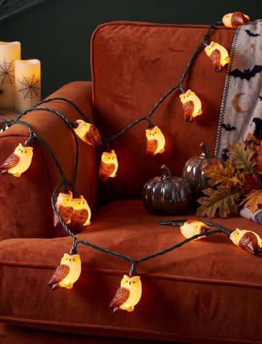 8.5FT 10 LED Halloween Owl String Lights Outdoor Waterproof Green Wire | Hanging Halloween Owl Decorations Lights, Plug in Bird String Lights for Patio Window Fall Garden Porch Backyard and Tree - Image 6