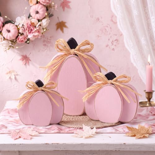 Ferraycle 3 Pcs Fall Pumpkin Decor Fall Wooden Signs 3D Pumpkin Tabletop Decor Farmhouse Sign Rustic Tiered Tray Decorations Block Centerpiece Standing Sign for Home Kitchen Harvest (Light Pink Color) - Image 2