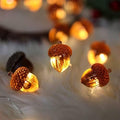 Decorative Fairy Acorn String Lights Thanksgiving Decoration Autumn Garland Cute Novelty Lights 30 LEDs 10 ft Battery Operated for Bedroom Wedding Birthday Harvest Decor by Belniak