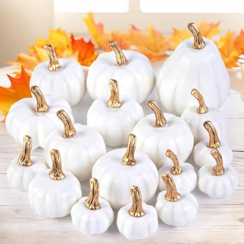 DomeStar 18 PCS White Pumpkins for Decoration, Small White Pumpkins by DOMESTAR