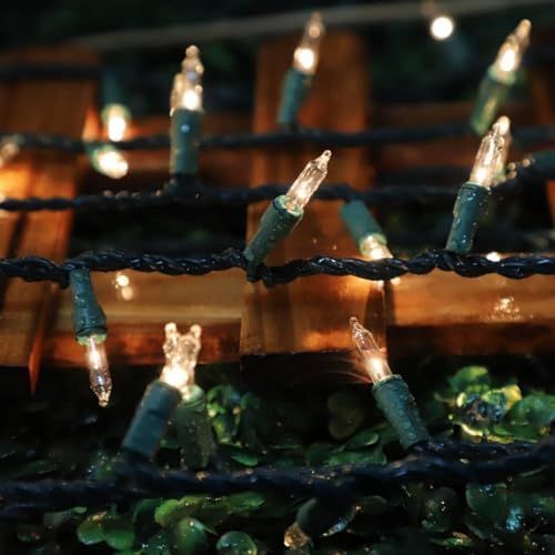 LAMPHOME 100 Count Clear Christmas Lights - 20 ft Ultra Bright White String Lights with Green Wire for Indoor and Outdoor Use, Christmas Trees, Holidays Party Patio Wedding and Garden - Image 2