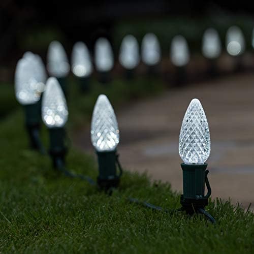 Wintergreen Lighting 50’ OptiCore LED Cool White Christmas Pathway Lights, C9 Outdoor White Christmas Lights, 4.5” Stakes, Green Wire Plug String Lights - Image 2
