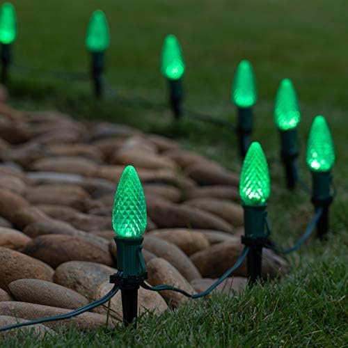 Wintergreen Lighting 50' OptiCore LED C9 Green Pathway Christmas Lights, Heavy Duty Bulbs for Driveway, Walkway Marker, 5" Commercial PathPRO Stakes, 18 Gauge Green Wire - Image 2