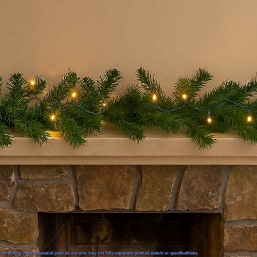 Novelty Lights 5 Feet 10 LED String Light, Warm White Short Fairy Lights - Image 5