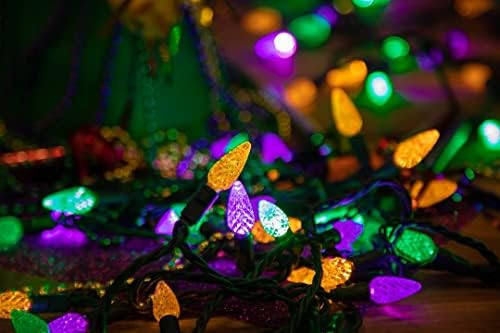24Ft 70 Light Mardi Gras Lights, Commercial String Lights - Image 4