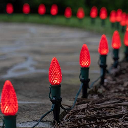 Wintergreen Lighting 25' OptiCore LED C9 Red Pathway Christmas Lights, Heavy Duty Bulbs for Driveway, Walkway Marker, 5" Commercial PathPRO Stakes, 18 Gauge Green Wire - Image 2