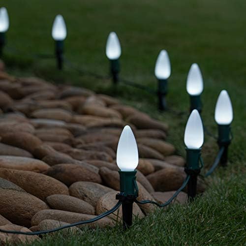 Wintergreen Lighting 100’ OptiCore LED Cool White Smooth/Opaque Christmas Pathway Lights, C9 Outdoor White Christmas Lights, 4.5” Stakes, Green Wire Plug String Lights - Image 2