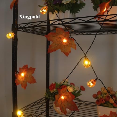 Fall Decor Solar Pumpkin Maple Leaf String Lights Outdoor, 50LED 30ft Fall Garland with Lights Waterproof Pumpkin Lights for Thanksgiving Halloween Autumn Door Porch Home Garden Decorations - Image 5