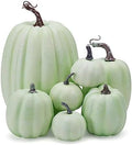 Lucakuins 7Pcs Artificial Pumpkins Fall Decoration Assorted Faux Pumpkin Cute Foam Pumpkins for Home Outside Halloween Decorating (Green2, One Size) by Lucakuins