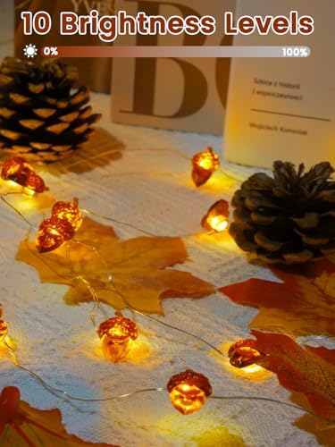 2 Pack 30 LED Acorn Fall Decorations, String Lights Battery Operated Remote - Image 4