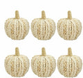 naturevibe 5.3 Inch Braided Cornhusk Pumpkin Decor Set of 6 Fall Home Decor by Unknown