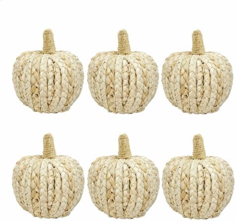 naturevibe 5.3 Inch Braided Cornhusk Pumpkin Decor Set of 6 Fall Home Decor by Unknown