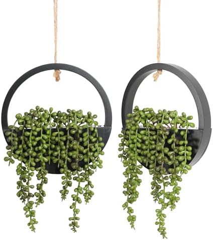 Floweroyal 2pcs Artificial Succulents Hanging Plants 12.2'' Fake String of Pearls in Pot with 8.3'' Lanyard for Indoor Outdoor Wall Decor (Black). by FloweroyalCrafts