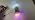 LAMPHOME 33ft 100 LED Easter String Lights Plug in, Multicolor Pastel 16 Modes Twinkle Fairy Lights,Waterproof Outdoor String Lights for Easter Tree Indoor Outdoor Spring Decorations - Image 7