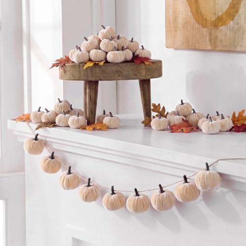 Mindsoft 8.2 ft Velvet Pumpkin Garland Champagne by Mindsoft